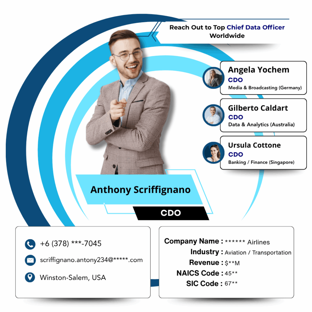 Chief Data Officer by Data Maelumat